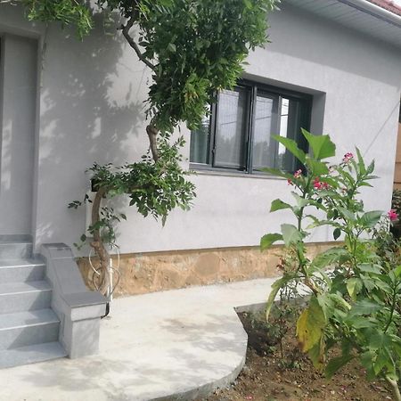 Casa Cu Trandafiri Villa Baia Mare Cameră foto