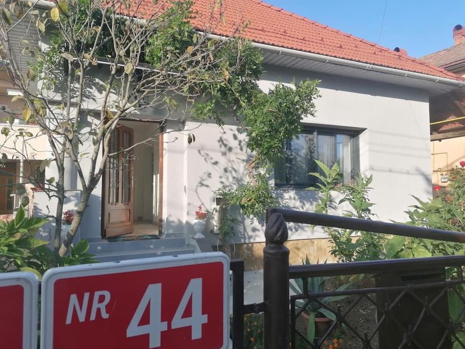 Casa Cu Trandafiri Villa Baia Mare Exterior foto