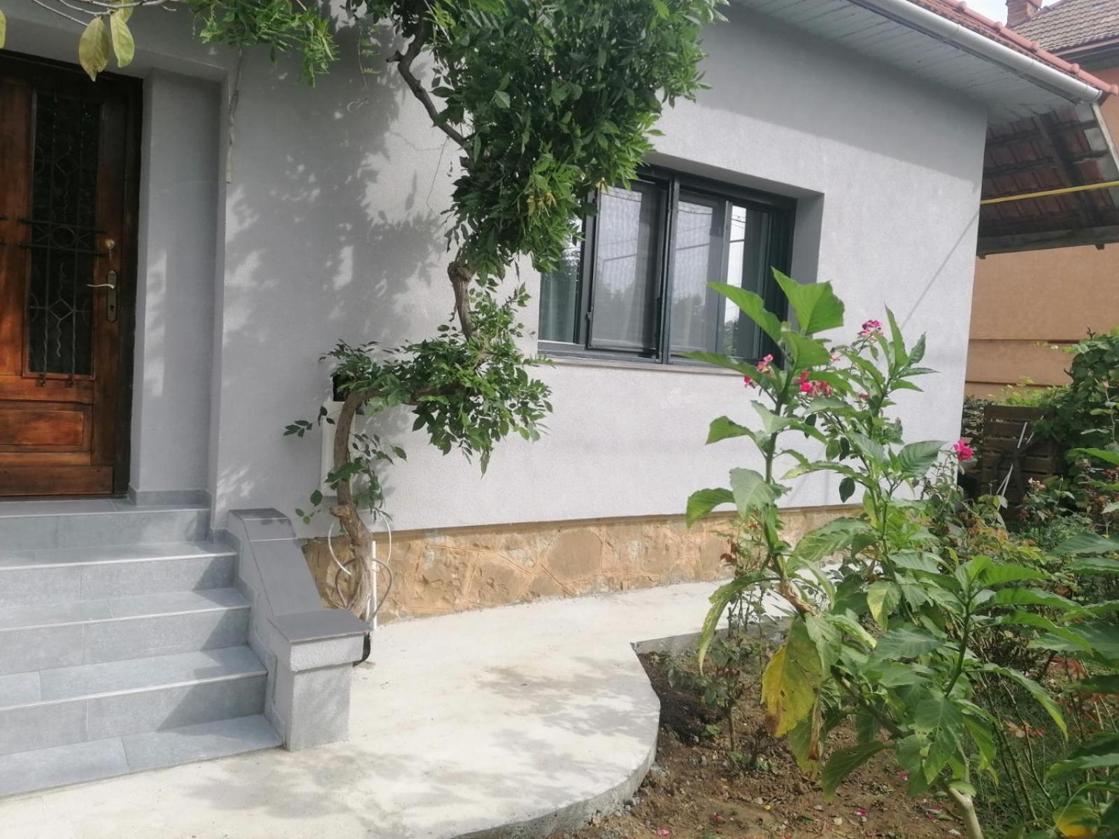 Casa Cu Trandafiri Villa Baia Mare Cameră foto